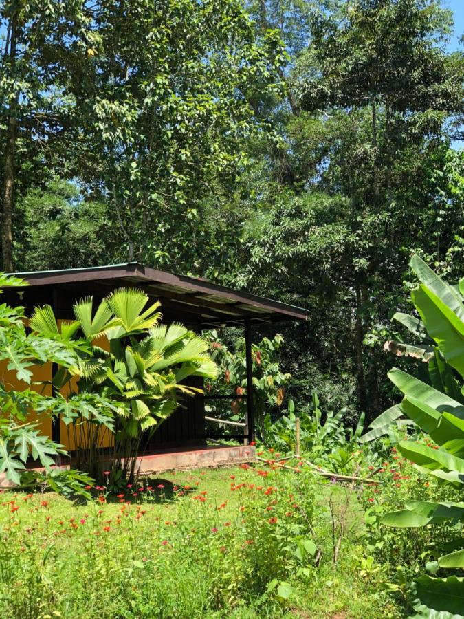 Gran Gavilan Del Sarapiqui Lodge Exterior photo